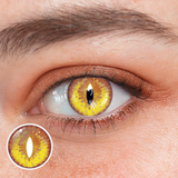 Halloween Dragon Maid Yellow Colored Contact Lenses