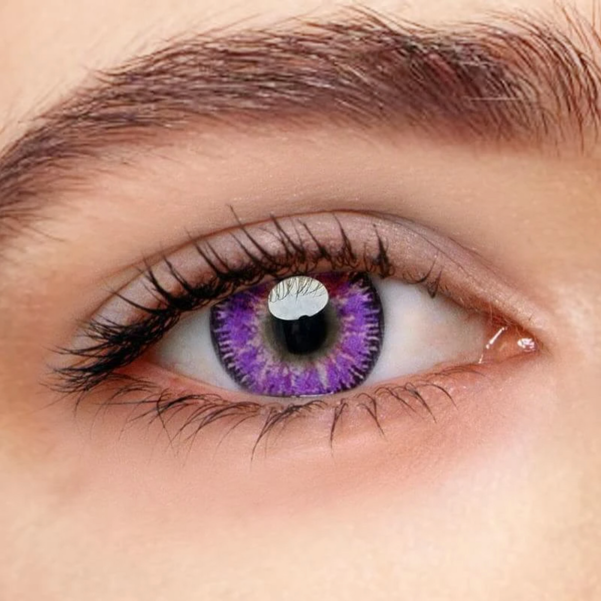 Vega Violett Lila Farbige Kontaktlinsen Ohne Stärke