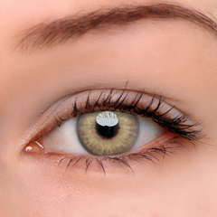 Farbige Kontaktlinsen Ohne Stärke Himalaya Braun