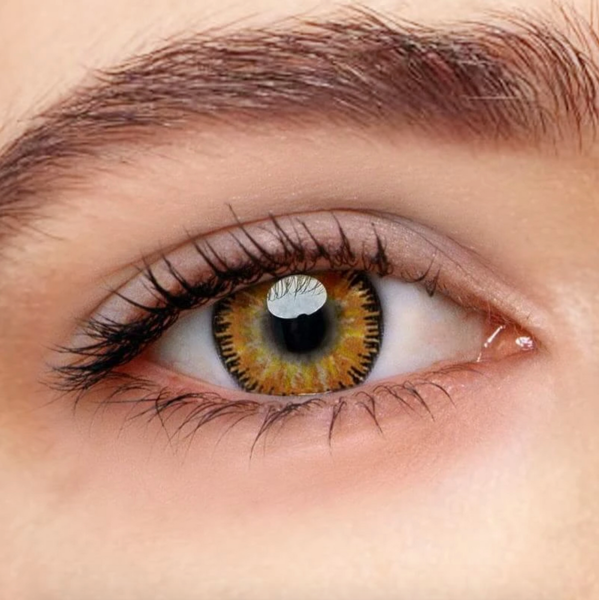 Vega Farbige Kontaktlinsen Ohne Stärke in Braun