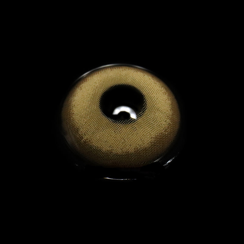 Beagan Bronze Colored Contact Lenses