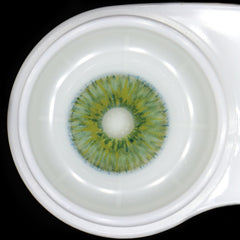 New York Green Colored Contact Lenses