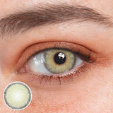Breena Gray Colored Contact Lenses
